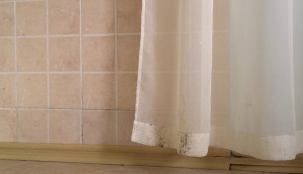Best Air Quality Testing for Mold Spores  in Brookings, OR