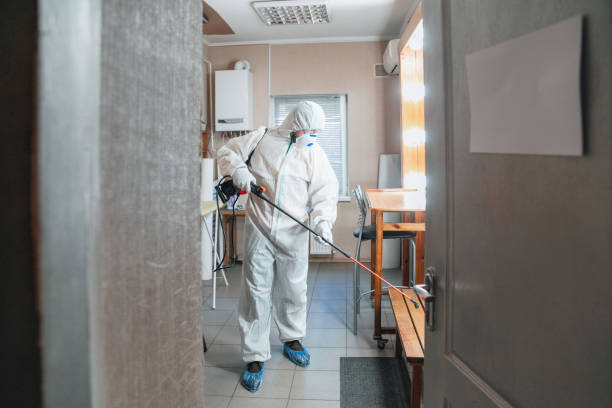 Dehumidification Services in Brookings, OR