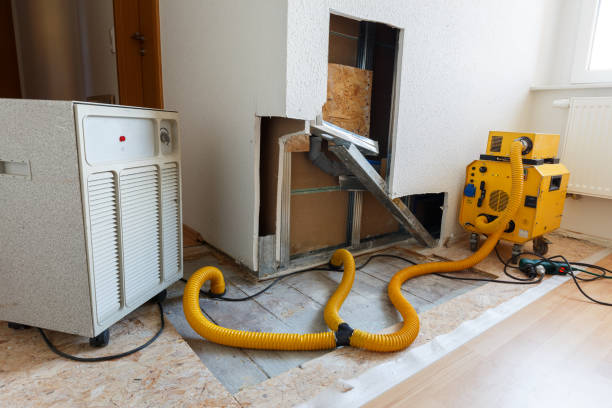 Reliable Brookings, OR Mold Removal Solutions