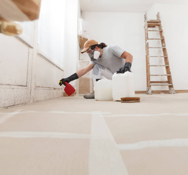 Best Real Estate Mold Inspection  in Brookings, OR